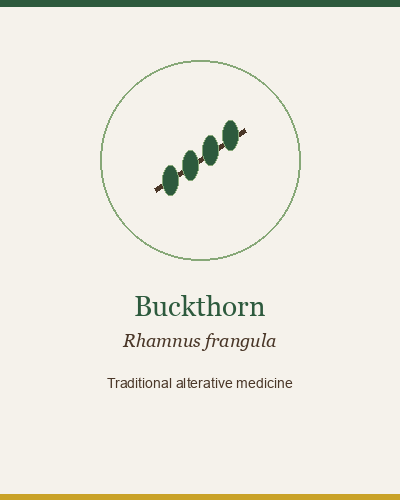 Buckthorn